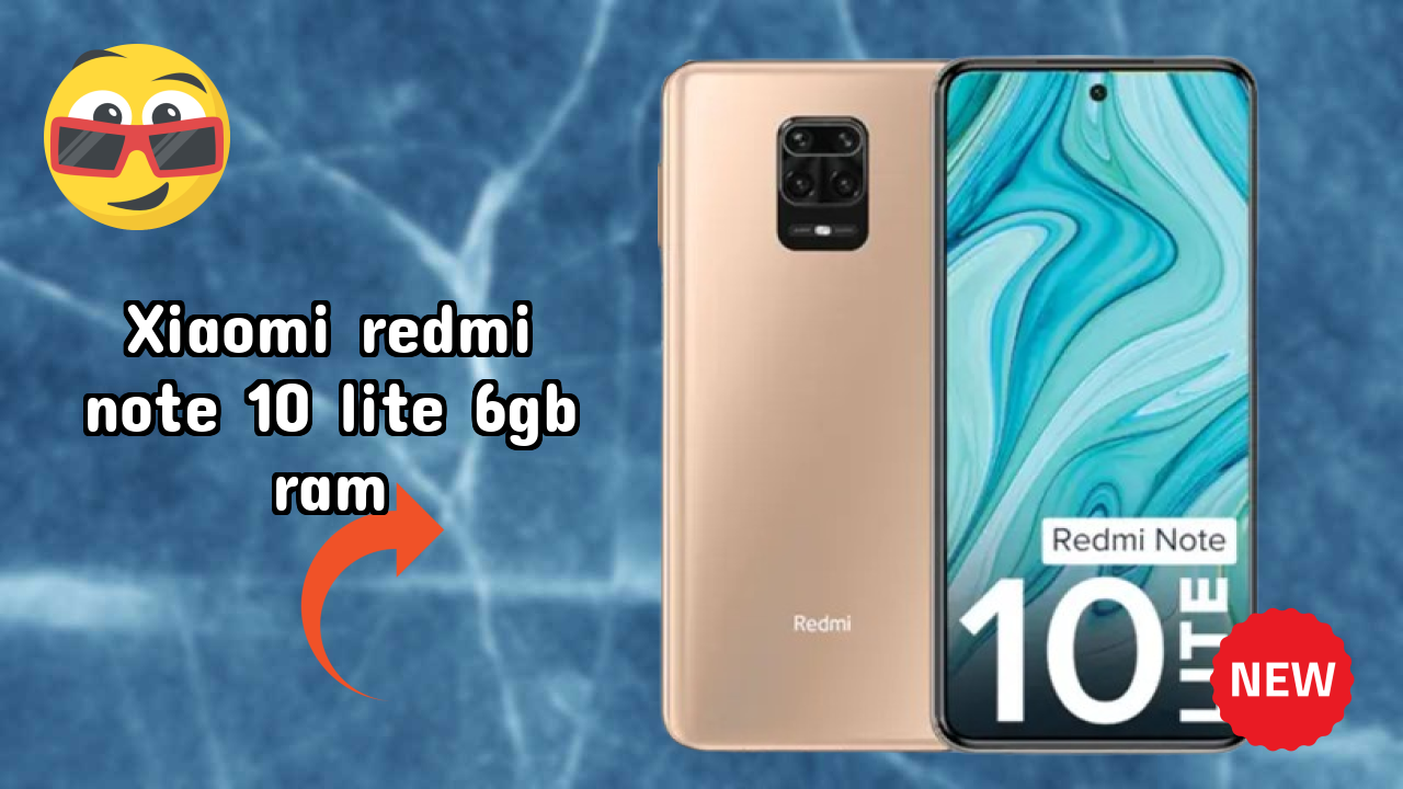 Xiaomi Redmi Note 10 Lite 6GB RAM Camera Samples: 48 MP + 8 MP + 5 MP + 2 MP Rear Camera Real Photos